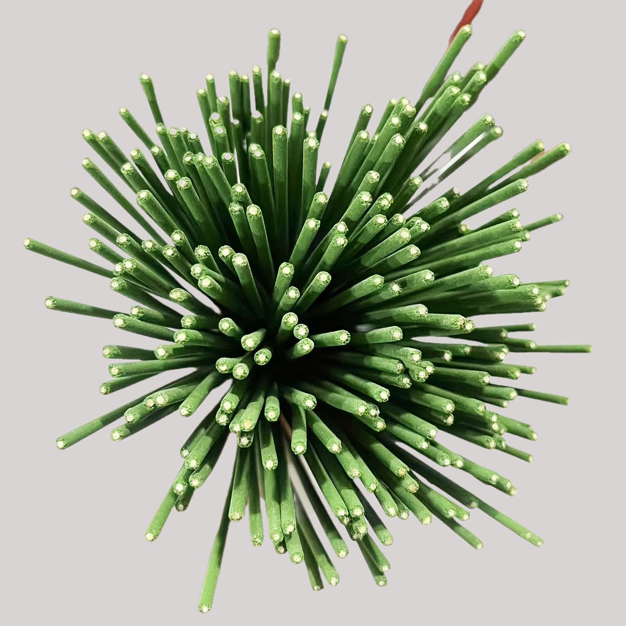 Reed Diffuser Sticks Zitroneng – Home Fragrance Logo Bewertung und Preis